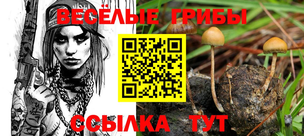 Галлюциногенные грибы Cubensis  Ковров  Псилоцибиновые грибы GOLDEN TEACHER 