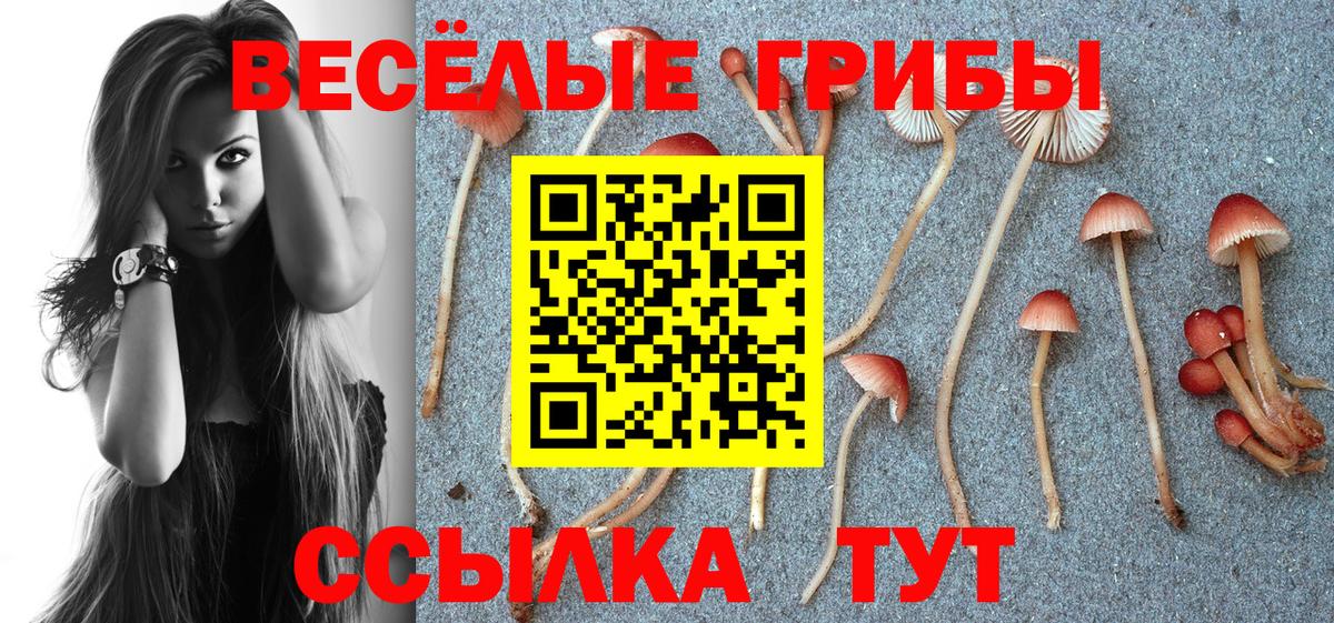 Галлюциногенные грибы Cubensis Ковров
