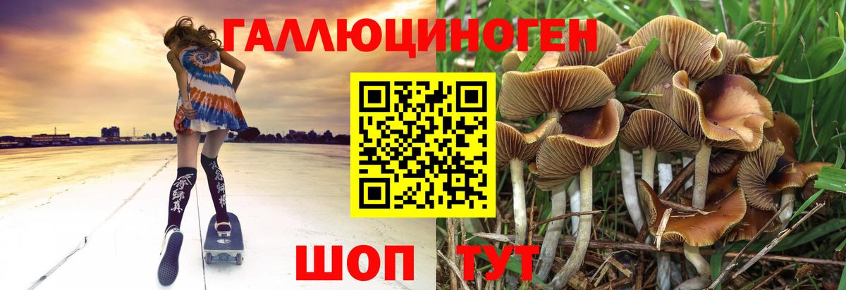 Галлюциногенные грибы мухоморы  Вход с VPN  Псилоцибиновые грибы Psilocybe  Ковров 