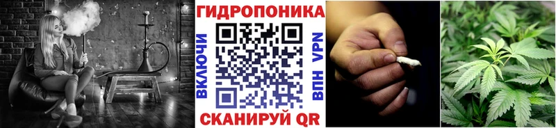 Марихуана Amnesia  Ковров 